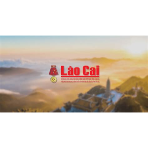 Baolaocai.vn